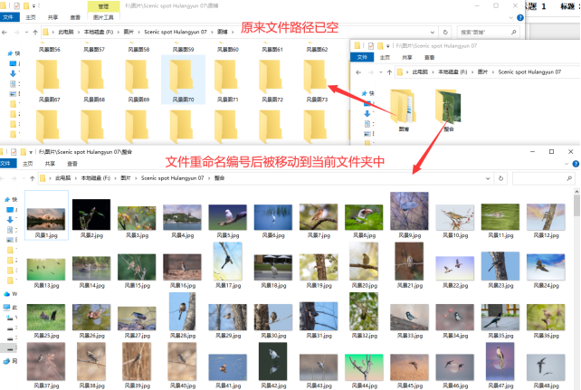 4文件批量重命名：多个路径文件批量改名并编号的操作方法348.png