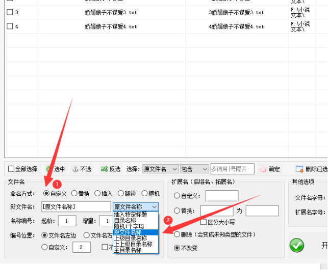 2文件扩展名修改一步到位：txt文本批量修改为doc文档格式438.png